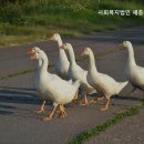 세종우리요양원 이미지