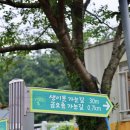 서쪽마을 | 제주도 금오름 금악마을 서쪽 일몰 명소 추천 소요시간