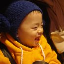 헤라시스
