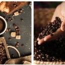 향긋한 커피향 바리스타 (수) 이미지