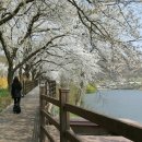 블루홀스 승마센터 이미지