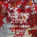 공연정보 이미지