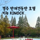 워시존cafe | 경주 반려견 동반호텔 키녹 KINOCK 프리미어룸