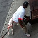 뉴욕성형외과의원 이미지