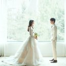 팜울림 네이버블로그