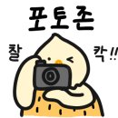 안나플라워카페 - 성동구 | 안나플라워카페