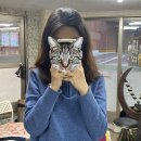6000컷트