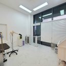 바니펫살롱 이미지