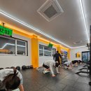 어라이브 피트니스 이미지