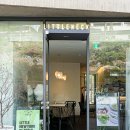 리틀파라솔 이미지