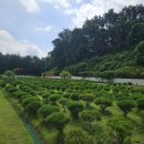 곤지암1배수펌프장 | 경기 광주 곤지암 초월 수목장의 정기 관리 시스템 살펴보기