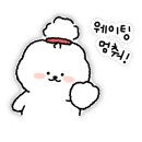 넘버25경주