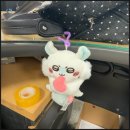 블라인드천국 | [먼작귀] 홍대 미니소 치이카와 굿즈 천국 방문 내돈내산 후기 ( 미니소 프렌즈) / 치이카와 여름휴가...