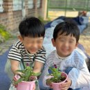 제이그림나라유치원 이미지