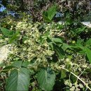 송강농장 이미지