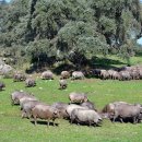 김동선 농장 이미지