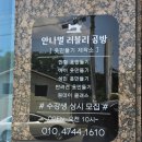 안나의상실