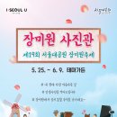 장미원사진관 티스토리