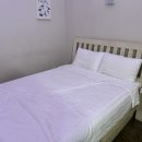어나더153애견펜션 | 강화도 애견펜션 어나더153 내돈내산 후기