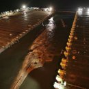 고대1073 이미지