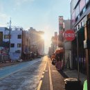 국보두루치기 | [구례] 혼여행의 차세대 강자 (구례 10경, 화엄사, 사성암, 섬진강)