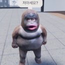 팝콘와이 | 국외 여행 - 볼리비아: 악마의 와이나 포토시