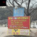 중랑캠핑숲 | 캠핑 왕초보 첫 캠핑 이게 맞나요...? 중랑캠핑숲 후기❤️