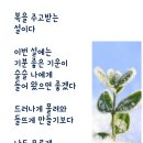 1월 31일 금요일 서울방 : 행복(幸福)의 얼굴 이미지