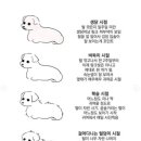 굿나잇도그 이미지