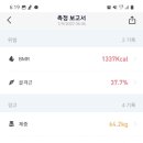 모멘트 핏 이미지