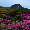 허앤리병원 버스정류소 이미지