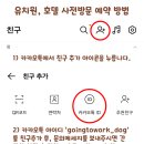 출근길 강아지 유치원 이미지