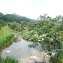 거창읍-11 이미지