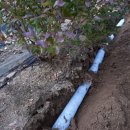 경담농장 이미지