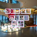 합정오토 | [홍대][합정] 내돈내산 파티하기 좋은 호텔 라이즈 오토그래프컬렉션 에디터룸 방문 후기