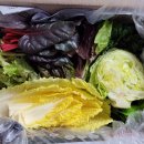 늘푸른농장2 이미지