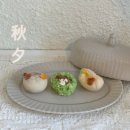 오르브와 이미지