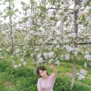 돌다리 농장 이미지