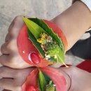 산림놀이 이미지