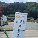 용인 민속촌 유기농 베이커리 커피 맛집 지곡동 달애울 내돈내산 후기