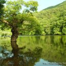 도림한의원 이미지