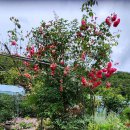 둥지농장 이미지