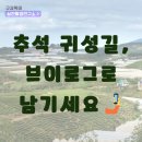 스마트폰으로 시작하는 브이로그 제작 | 시리즈 ① [추석 브이로그•귀성길 브이로그] 촬영법 Ι 휴게소 브이로그까지 스마트폰 촬영 꿀팁 대방출!