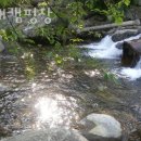 올래 캠핑장 이미지