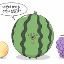 과일사랑 이미지