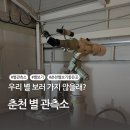 강원특별자치도청소년수련원 | 우리 별 보러 가지 않을래? 춘천 청소년 수련원 별 관측소