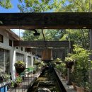 횡성군 체육관 수영장 이미지