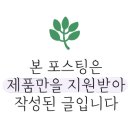 디셈환경 이미지