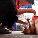 노량진 언니들 이미지