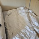 소노벨 타워 C 비발디파크 | 강원도 홍천 비발디파크 소노벨 스탠다드 패밀리룸 숙박 부대시설 식당!(내돈내산 솔직후기)